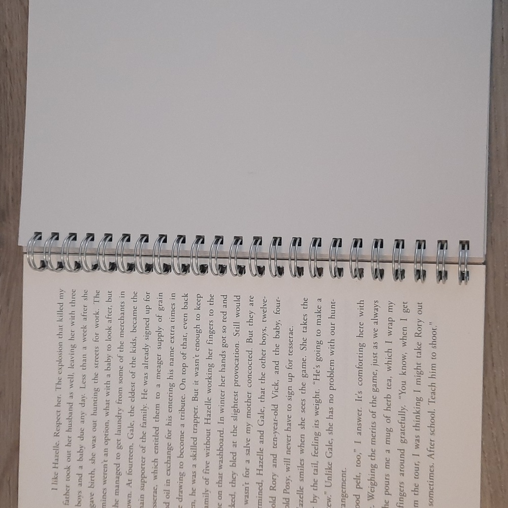 Secret Journal "Catching Fire" - Picture 2 of 6